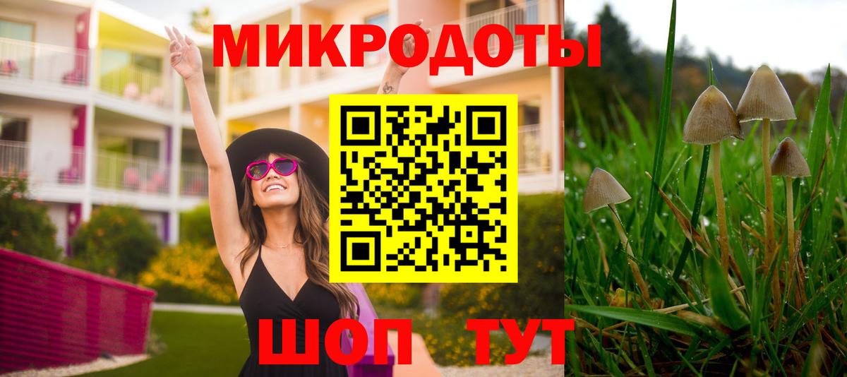 купить наркотики сайты  Вход с VPN  Кондопога  Псилоцибиновые грибы прущие грибы  Галлюциногенные грибы Magic Shrooms 